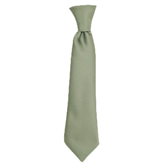 Sage Boys Tie | Sage Green Boys Wedding Ties | Elastic Tie For Kids