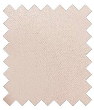 Antique Champagne Wedding Swatch - Swatch - Swagger & Swoon