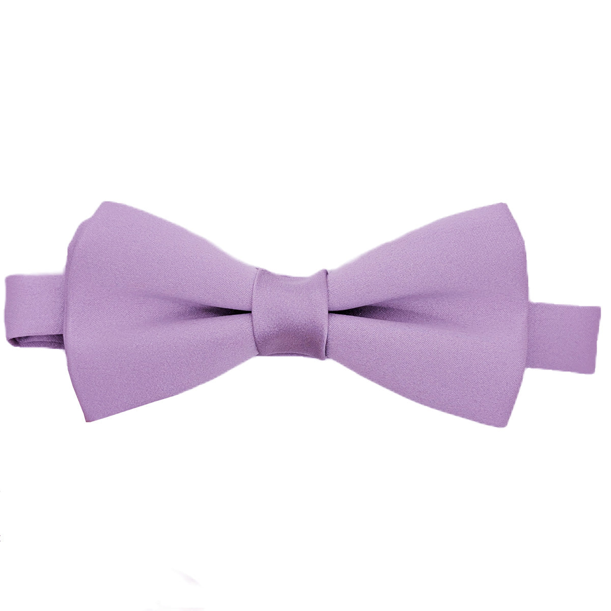 Hydrangea Bow Tie