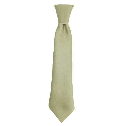 Pistachio Boys Ties