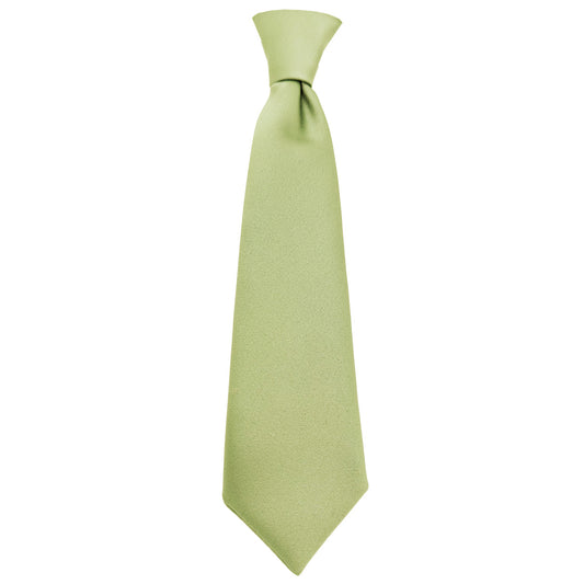 Pistachio Boys Ties