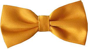 CLEARANCE - Orange Gold Bow Tie - Clearance - Swagger & Swoon