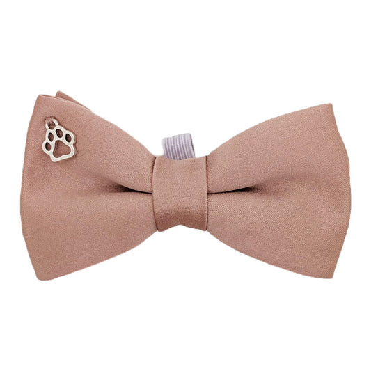 Cappuccino Dog Bow Tie